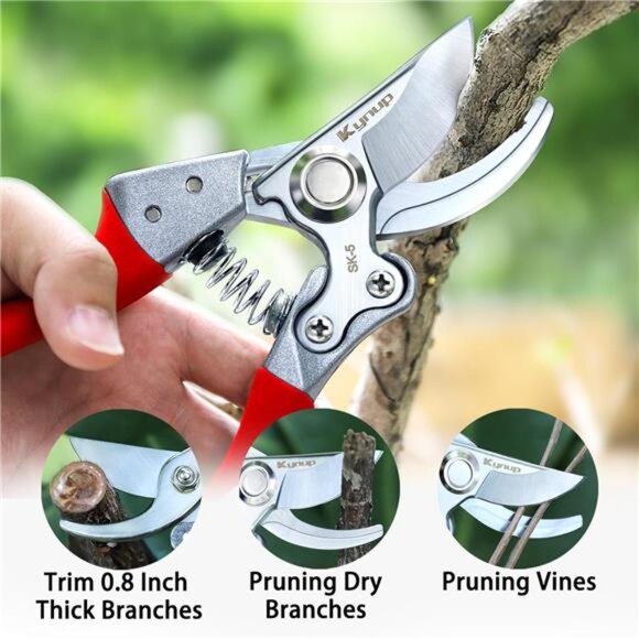 Pruning Shears, Gardening Pruners Scissors, Professional Bypass Hand Shears - Picture 4 of 7